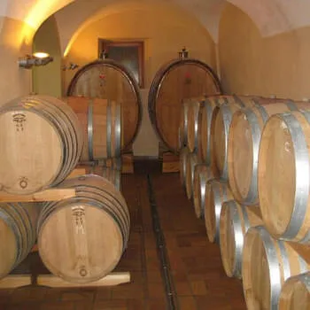 Wine cellar