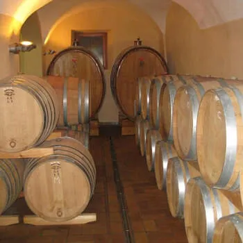 I nostri vini